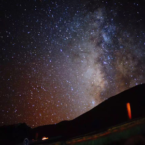 成人毛片100免费观看
